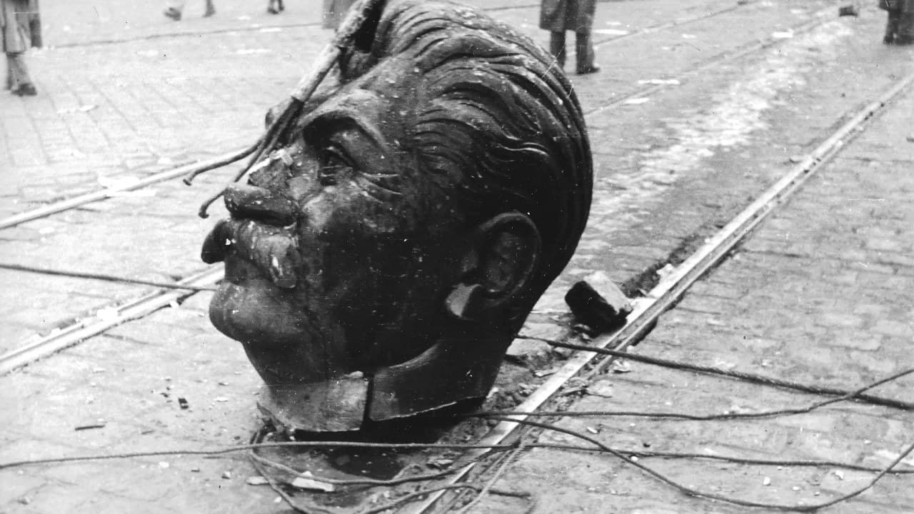 Hetven éve egy ország kimondta: Elég volt! Ma az 1956-os forradalom hőseire emlékezünk